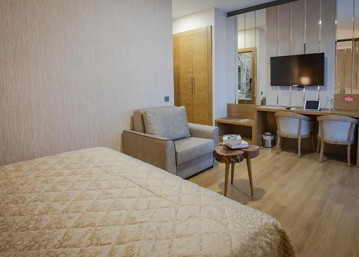 Otel Bahçelievler 4*